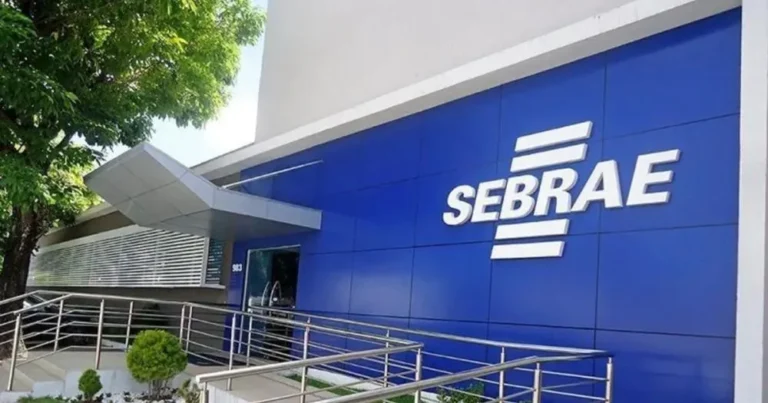 Goiás tem mais de 634 mil MEIs: o que esse número revela sobre o novo empreendedor